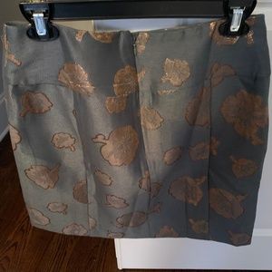 Ann Taylor skirt